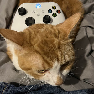 Meet your Posher, William